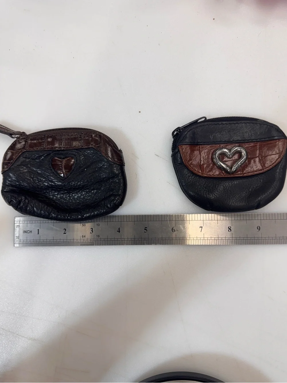 Brighton pair coin